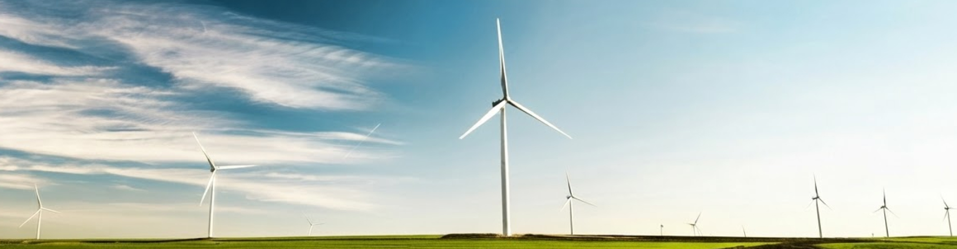 Danaher Moulton advises Nati Access Company on sale to Muehlhan Wind Service